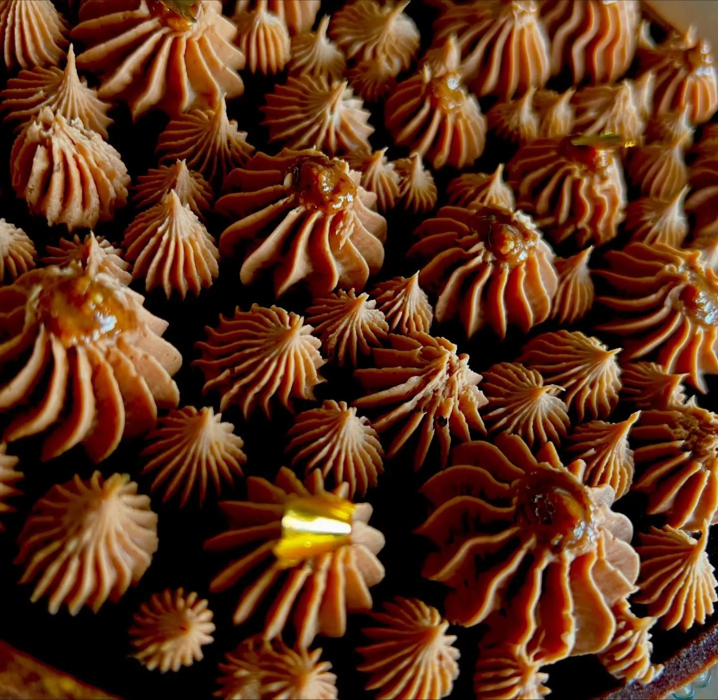 Crostata cioccolato e gianduia (2/3)