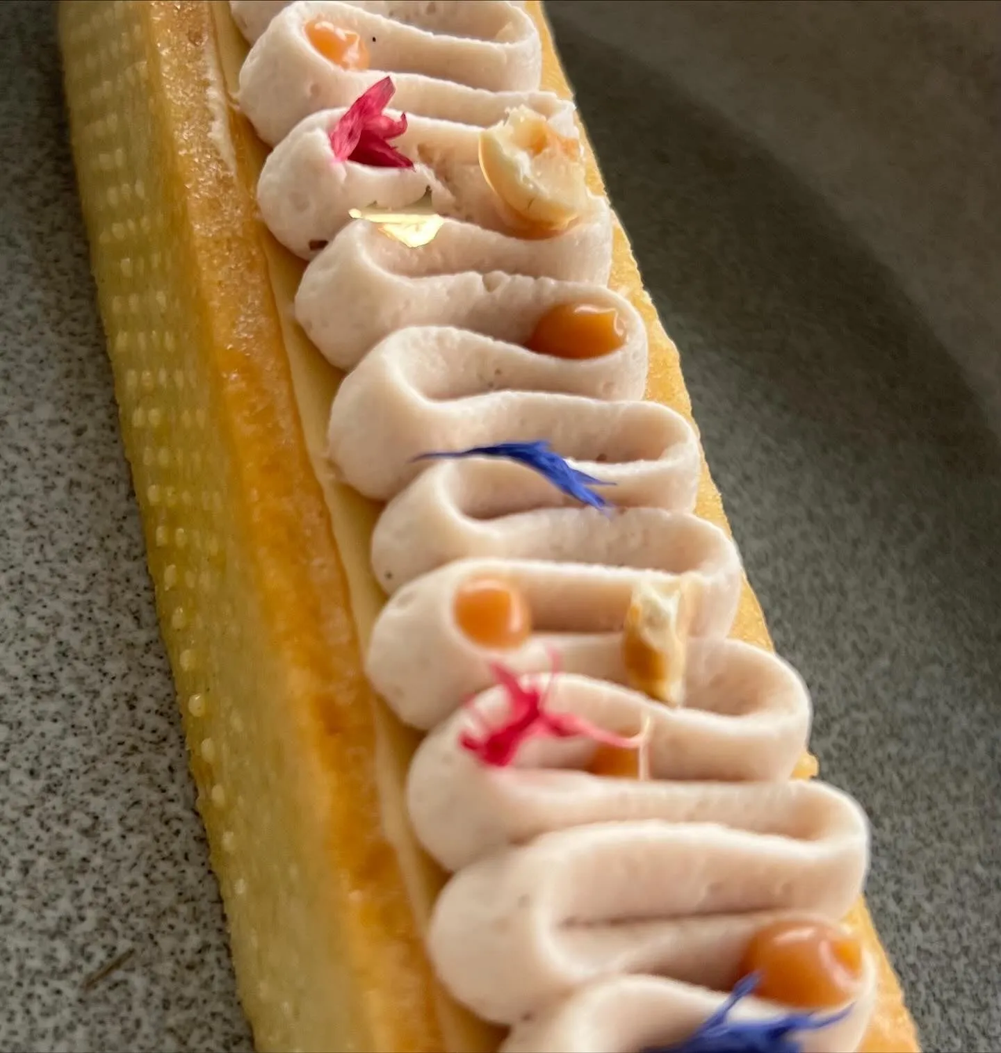 Tartelette mango e Ruby (2/3)