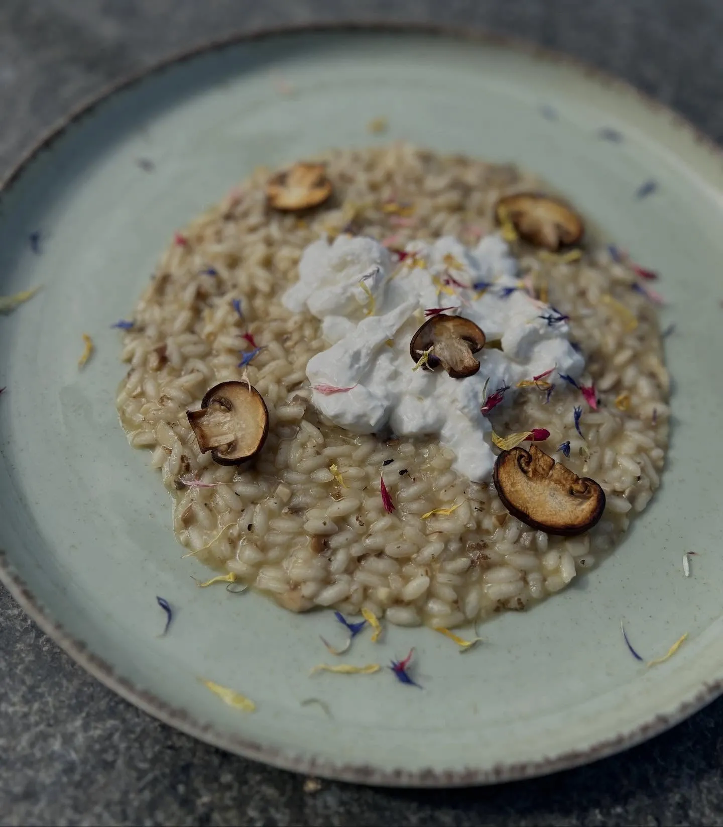 Risotto ai funghi (2/2)